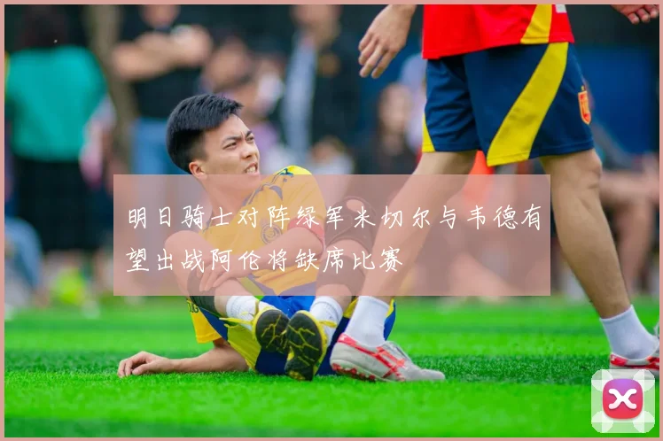 明日骑士对阵绿军米切尔与韦德有望出战阿伦将缺席比赛