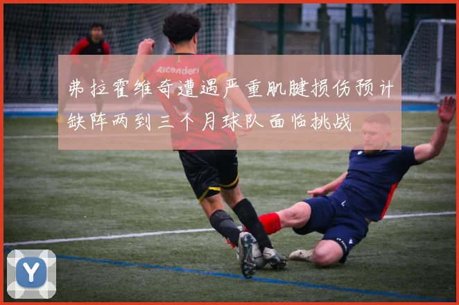 弗拉霍维奇遭遇严重肌腱损伤预计缺阵两到三个月球队面临挑战
